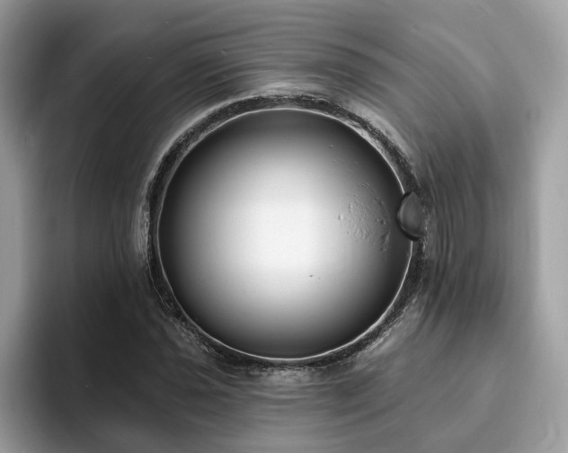 X0000094071021200710191116
