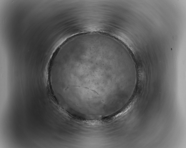 X0000094071023200710191116