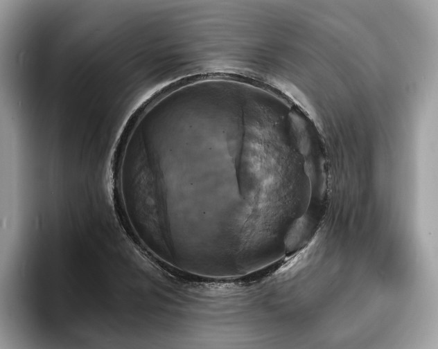 X0000094071024200710191116