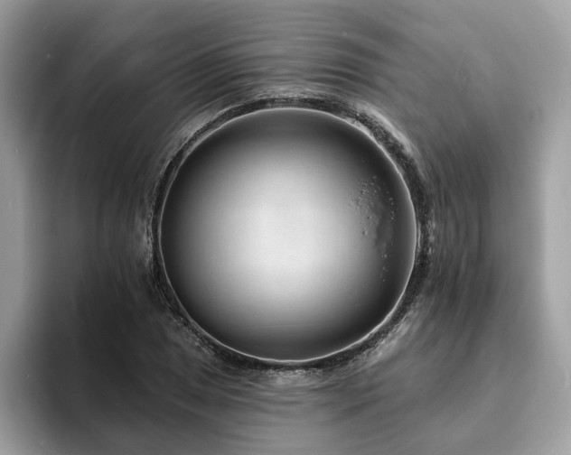 X0000094071025200710191116