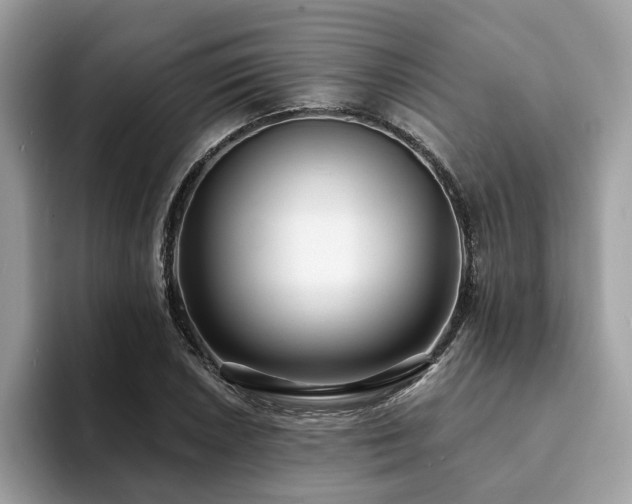 X0000094071026200710191116