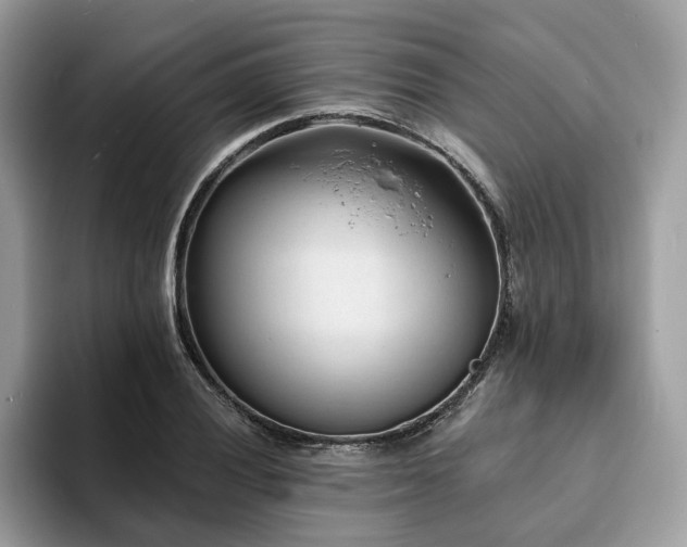 X0000094071028200710191116