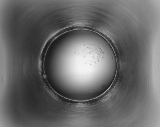 X0000094071029200710191116