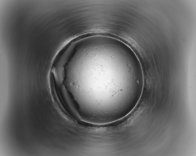 X0000094071030200710191116