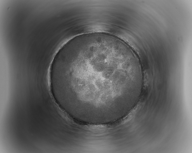 X0000094071031200710191116