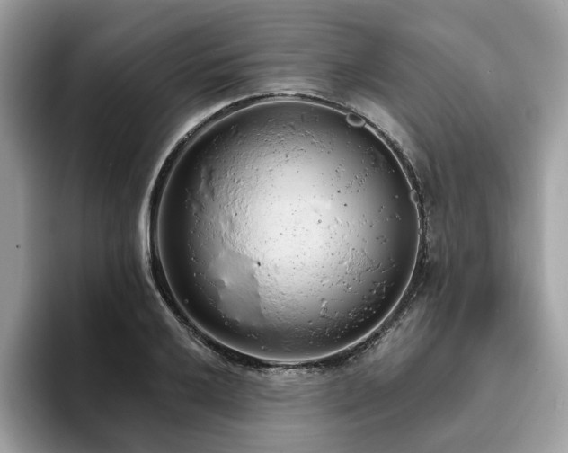 X0000094071032200710191116