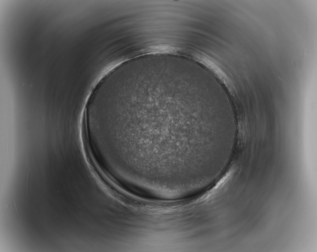 X0000094071034200710191116