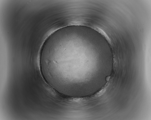 X0000094071035200710191116