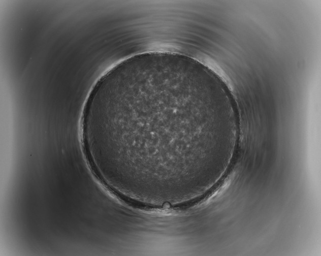 X0000094071037200710191116