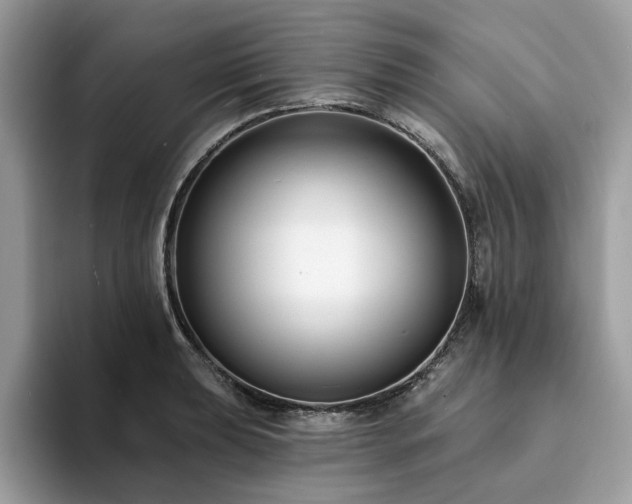 X0000094071039200710191116