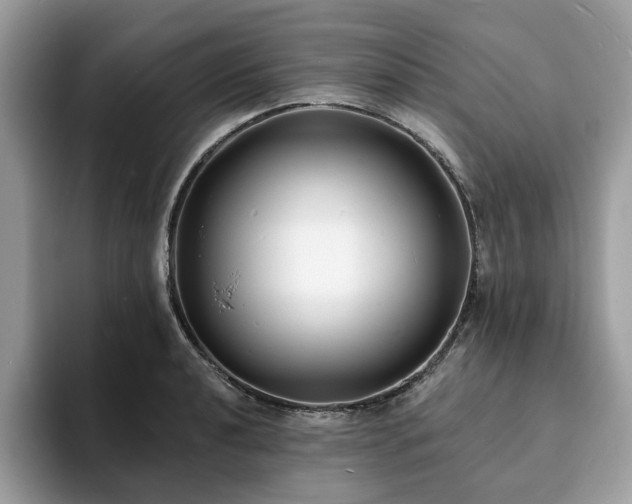 X0000094071040200710191116
