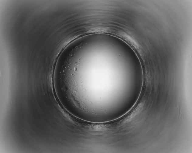 X0000094071041200710191116