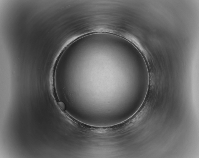 X0000094071048200710191116