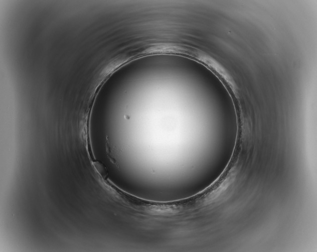 X0000094071049200710191116