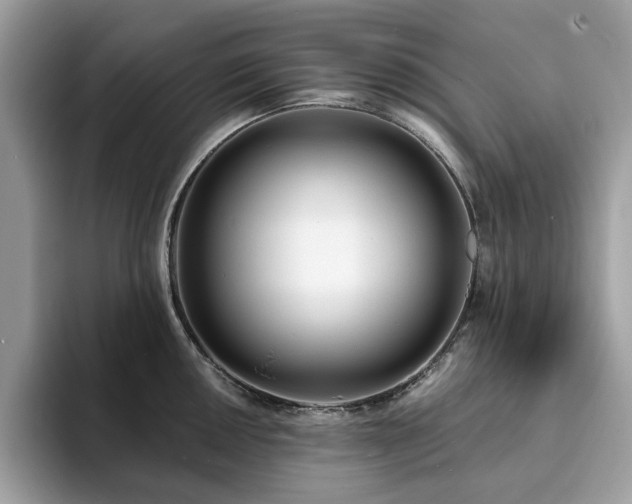 X0000094071050200710191116