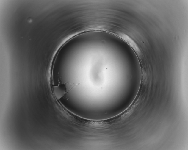 X0000094071052200710191116