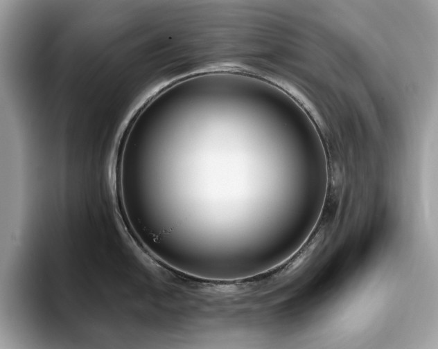 X0000094071054200710191116