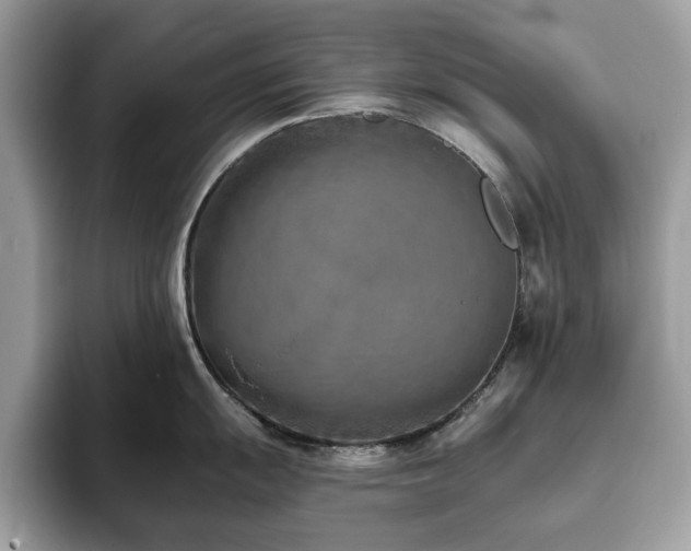 X0000094071055200710191116