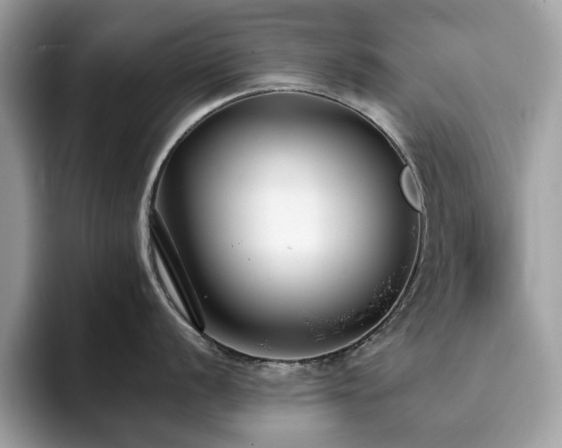 X0000094071056200710191116
