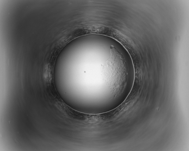 X0000094071058200710191115