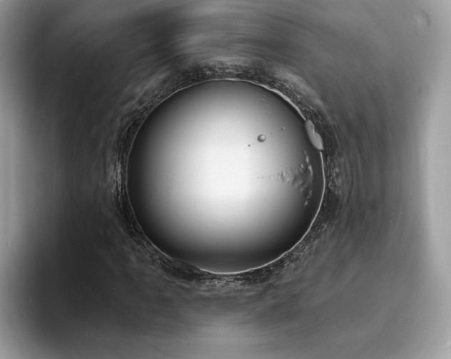 X0000094071061200710191115