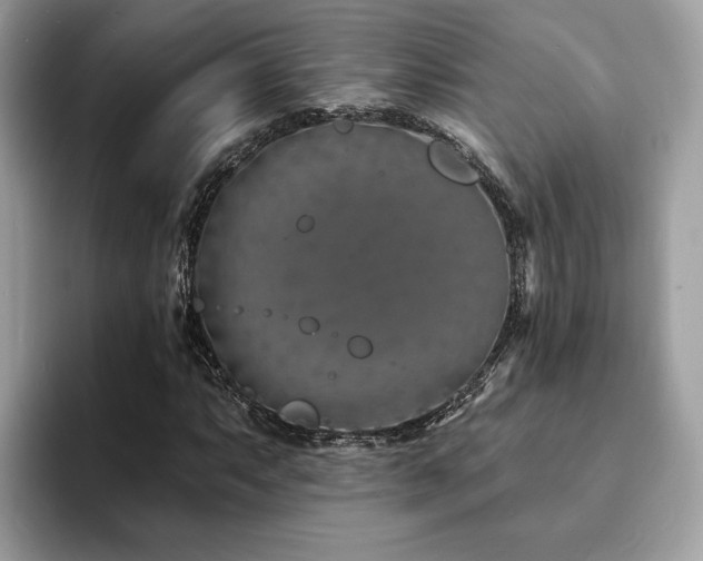 X0000094071063200710191115