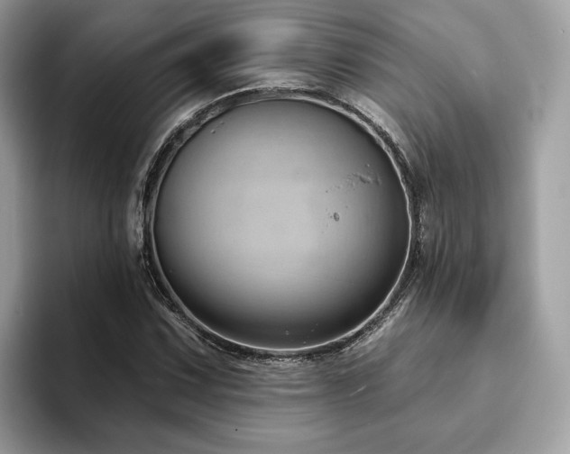 X0000094071067200710191115