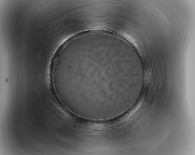 X0000094071071200710191115
