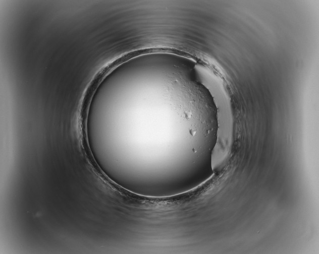 X0000094071072200710191115