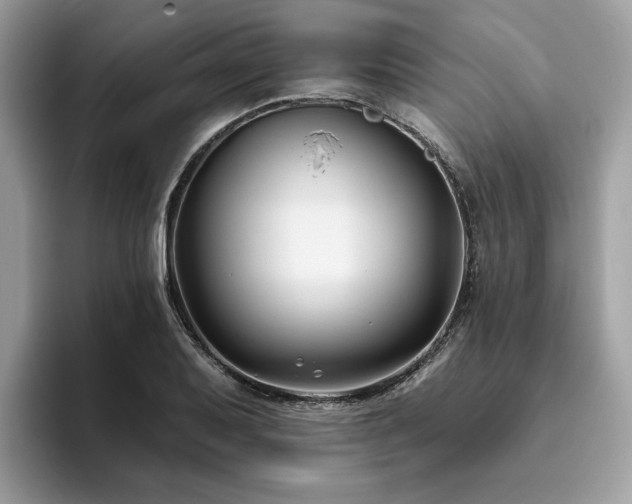 X0000094071079200710191115