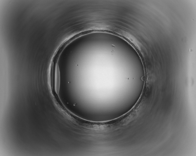 X0000094071080200710191115