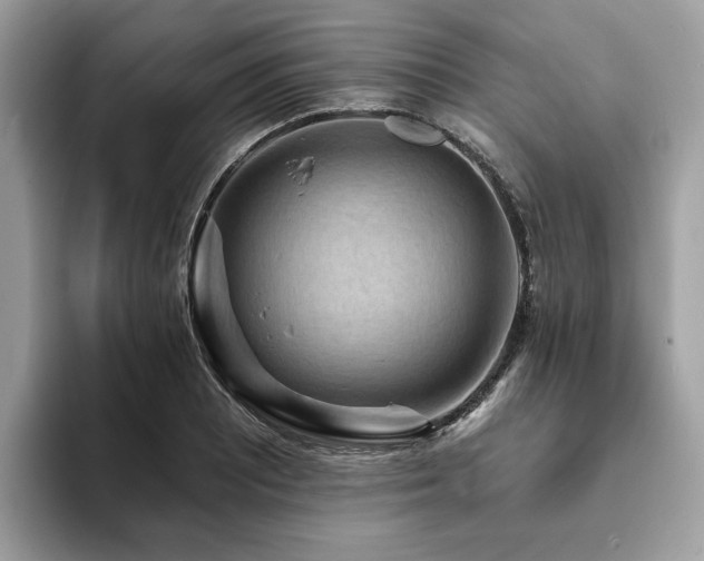 X0000094071081200710191115