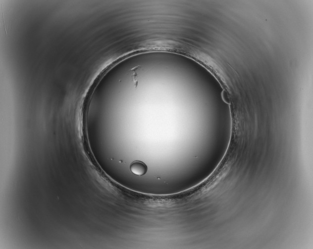 X0000094071083200710191115