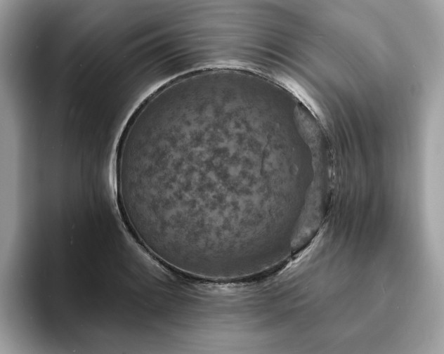 X0000094071084200710191115