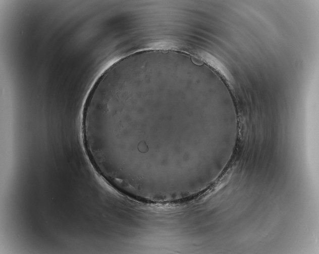 X0000094071087200710191115