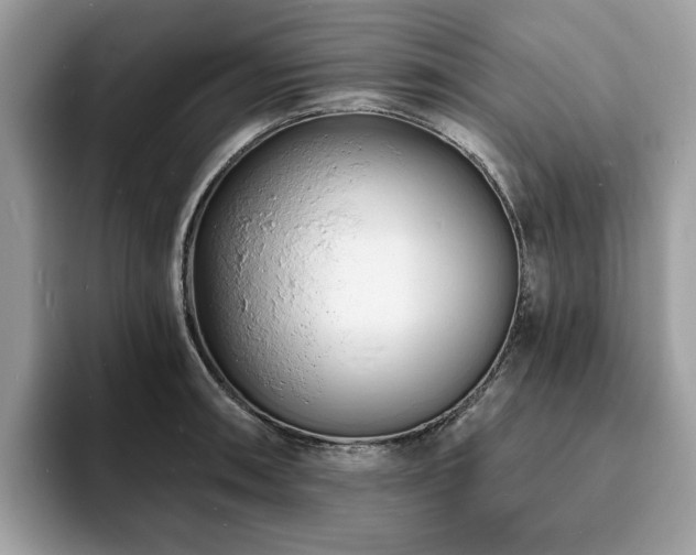 X0000094071090200710191115