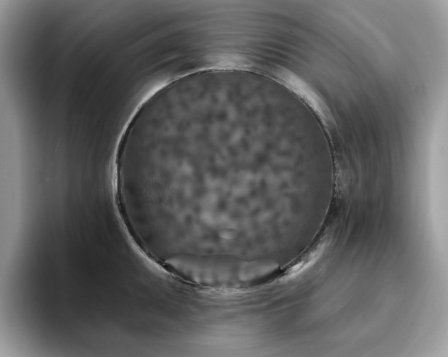 X0000094071095200710191115