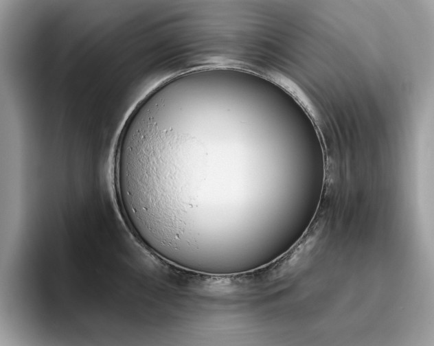 X0000094071098200710191115