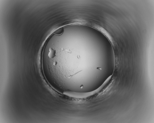X0000094071099200710191115