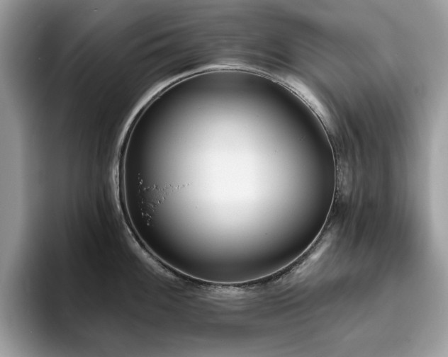 X0000094071100200710191115