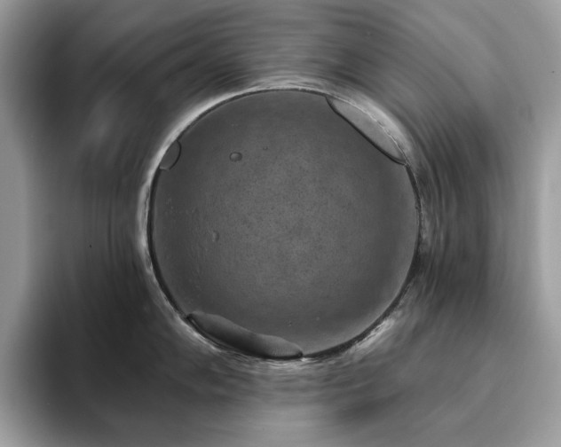 X0000094071102200710191115