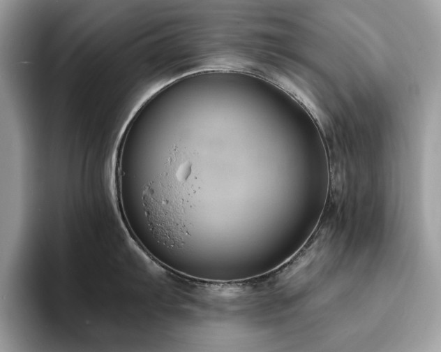 X0000094071103200710191115
