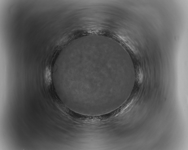 X0000094071106200710191114
