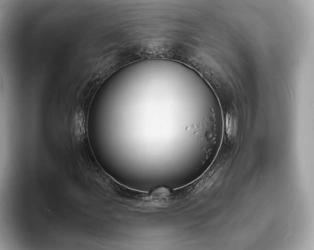 X0000094071107200710191114