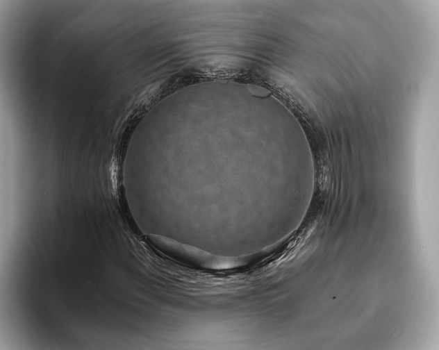 X0000094071108200710191114