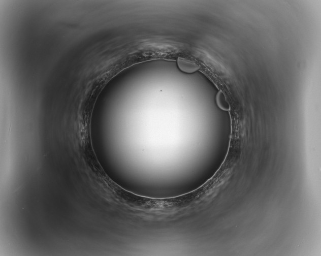 X0000094071109200710191114