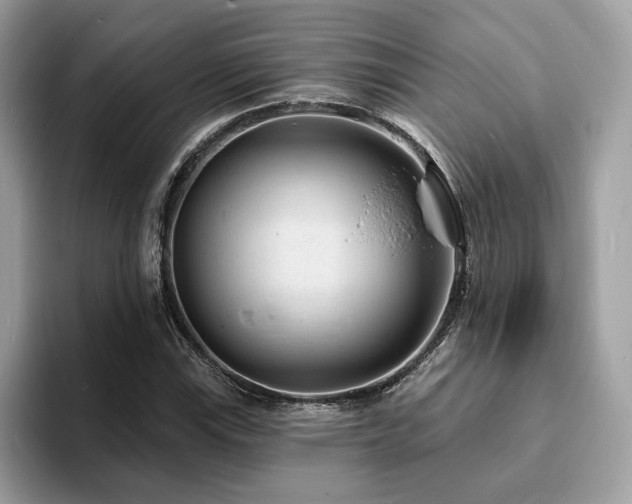 X0000094071115200710191114
