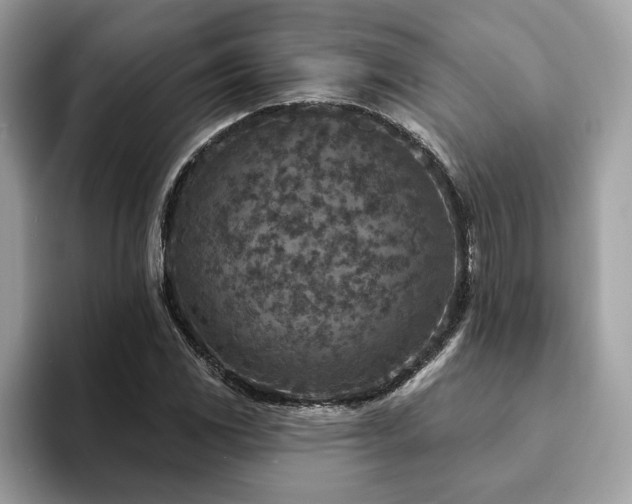 X0000094071117200710191114