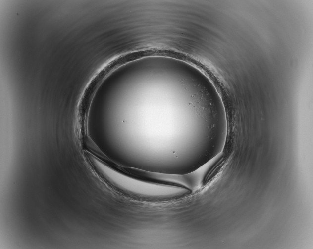 X0000094071118200710191114