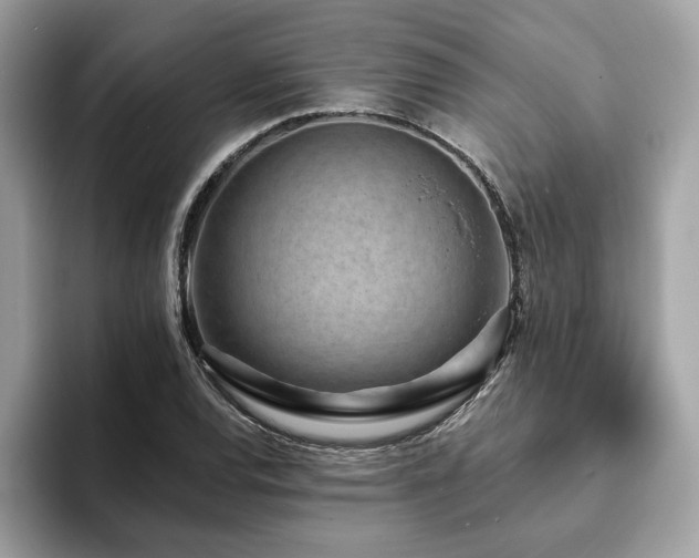 X0000094071120200710191114